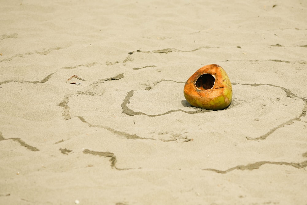 coconut shell on sand