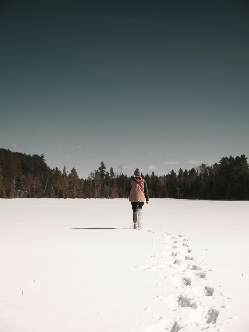 woman walking on snow towards green trees