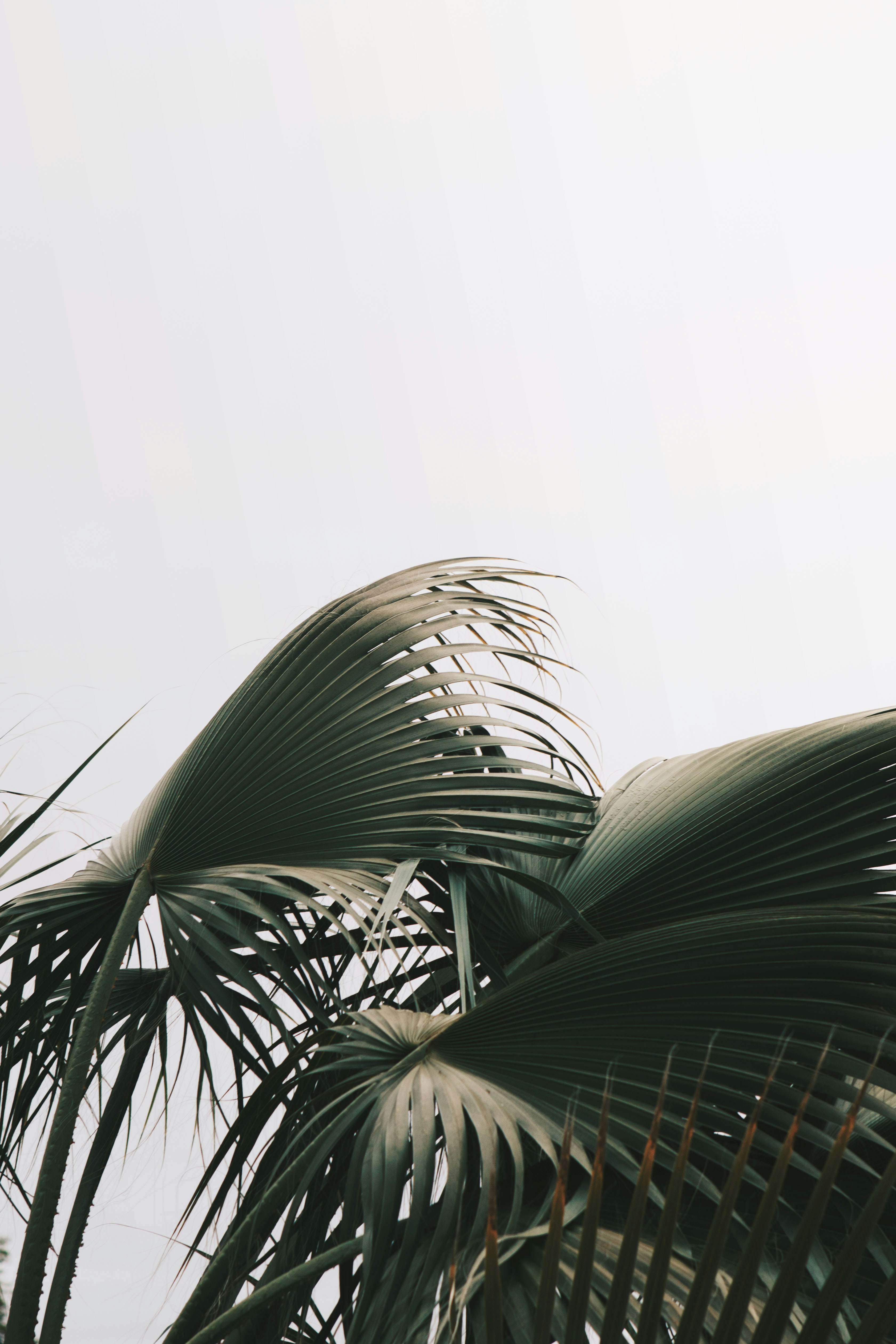 Cosmetic Dentist In Walteria Torrance California Calif CA