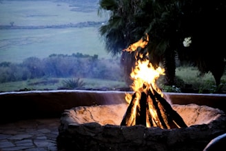 A campfire burns brightly within a stone fire pit, casting a warm glow against a backdrop of a lush, expansive landscape. Tall trees and vegetation surround the area, with vast open fields visible in the distance as dusk settles.