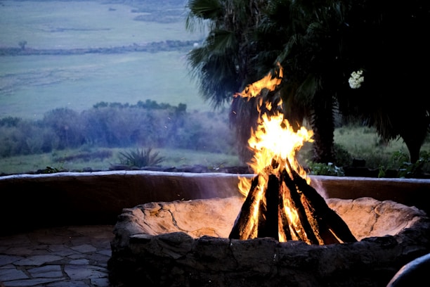 A campfire burns brightly within a stone fire pit, casting a warm glow against a backdrop of a lush, expansive landscape. Tall trees and vegetation surround the area, with vast open fields visible in the distance as dusk settles.