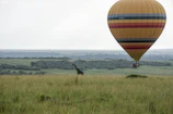 A hot air balloon drifting gently over the vast expanse of the Serengeti during a morning safari
