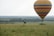 Hot air balloon floating over the savannah with wildlife below.
