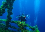A scuba diver is exploring an underwater environment with vibrant coral and aquatic vegetation. The diver is equipped with professional photography gear and appears to be taking pictures of the surroundings. Bright bubbles rise towards the surface through the deep blue water, enhancing the serene atmosphere.