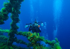 A scuba diver is exploring an underwater environment with vibrant coral and aquatic vegetation. The diver is equipped with professional photography gear and appears to be taking pictures of the surroundings. Bright bubbles rise towards the surface through the deep blue water, enhancing the serene atmosphere.