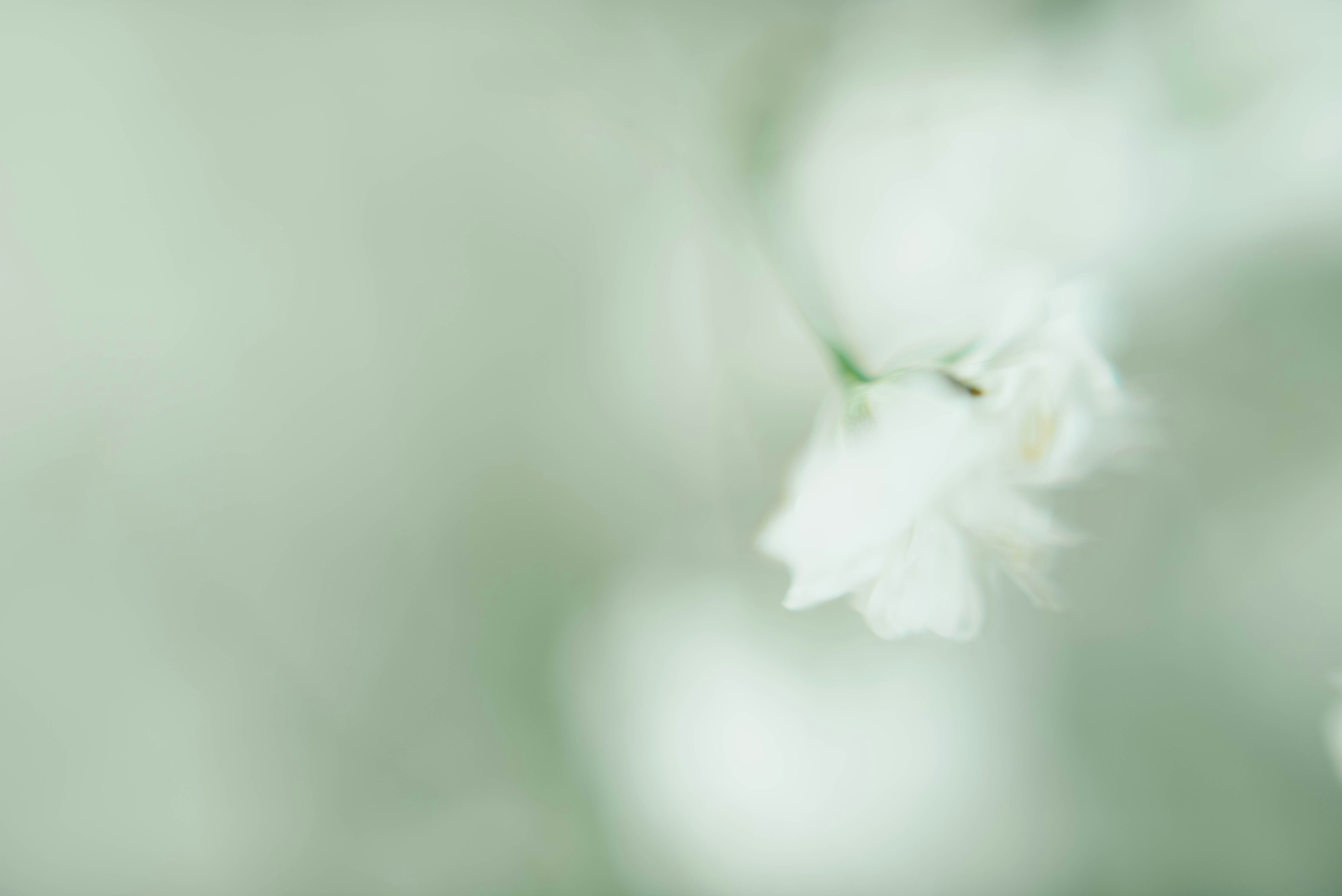 Photo by chuttersnap