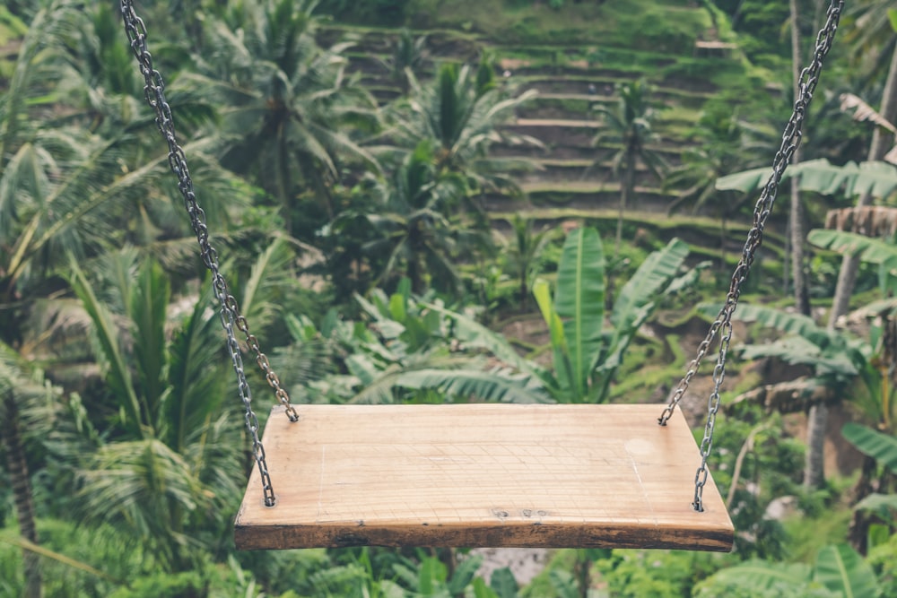 brown wooden swing