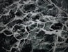 The image displays an intricate pattern of dark green and black marble with white veining. The texture appears smooth and polished, with the veins creating a natural, abstract design across the surface.