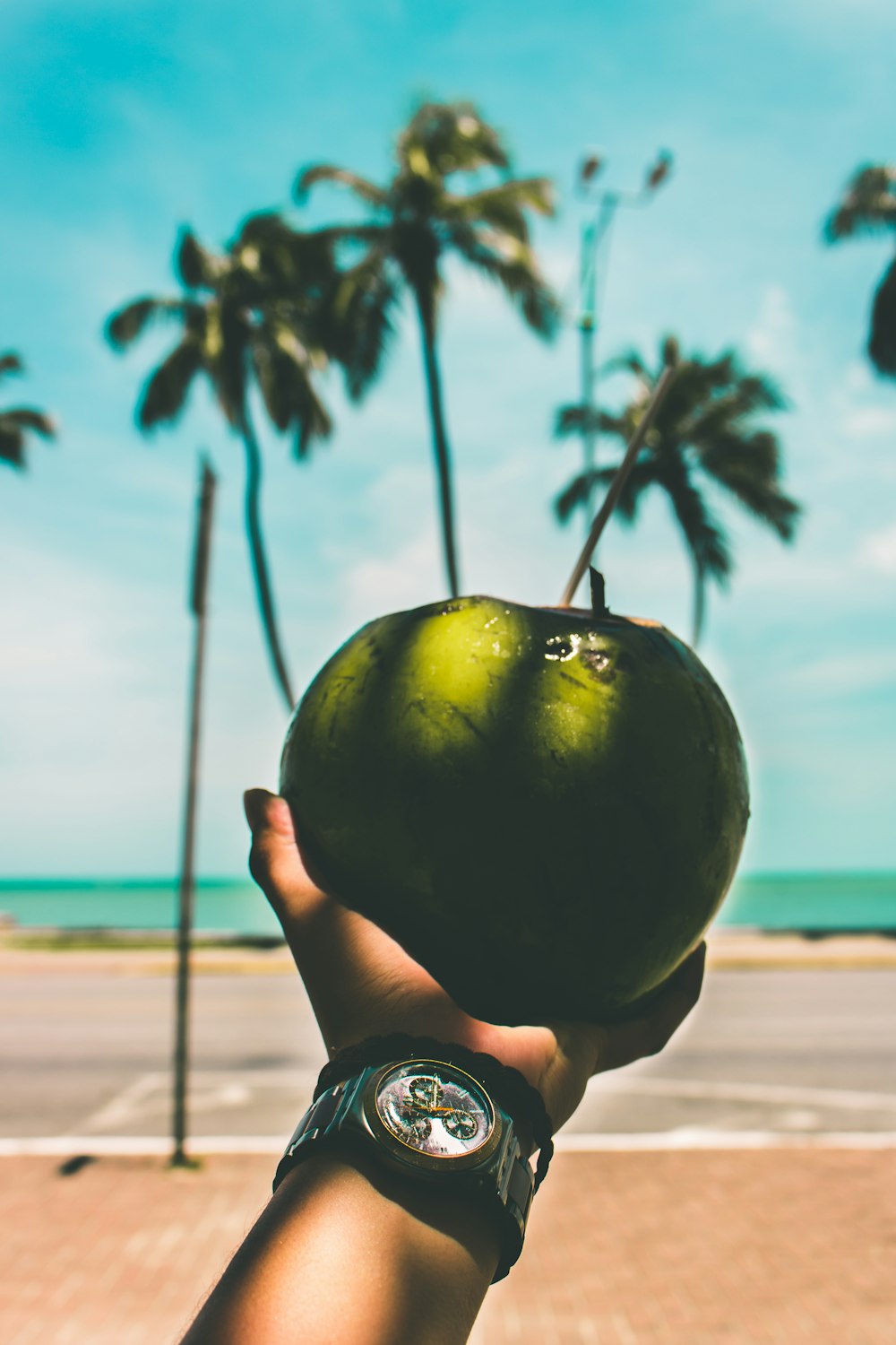 selective focus photography of person holding coconut