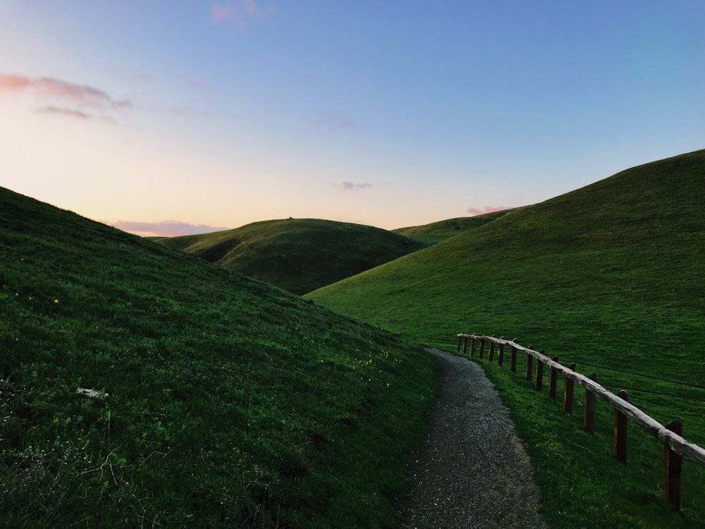 photo of green hills