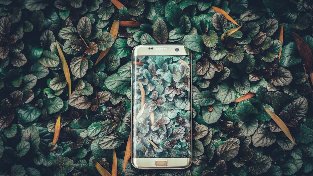 argento titanio Samsung Galaxy S7 bordo su foglie superficie grafica
