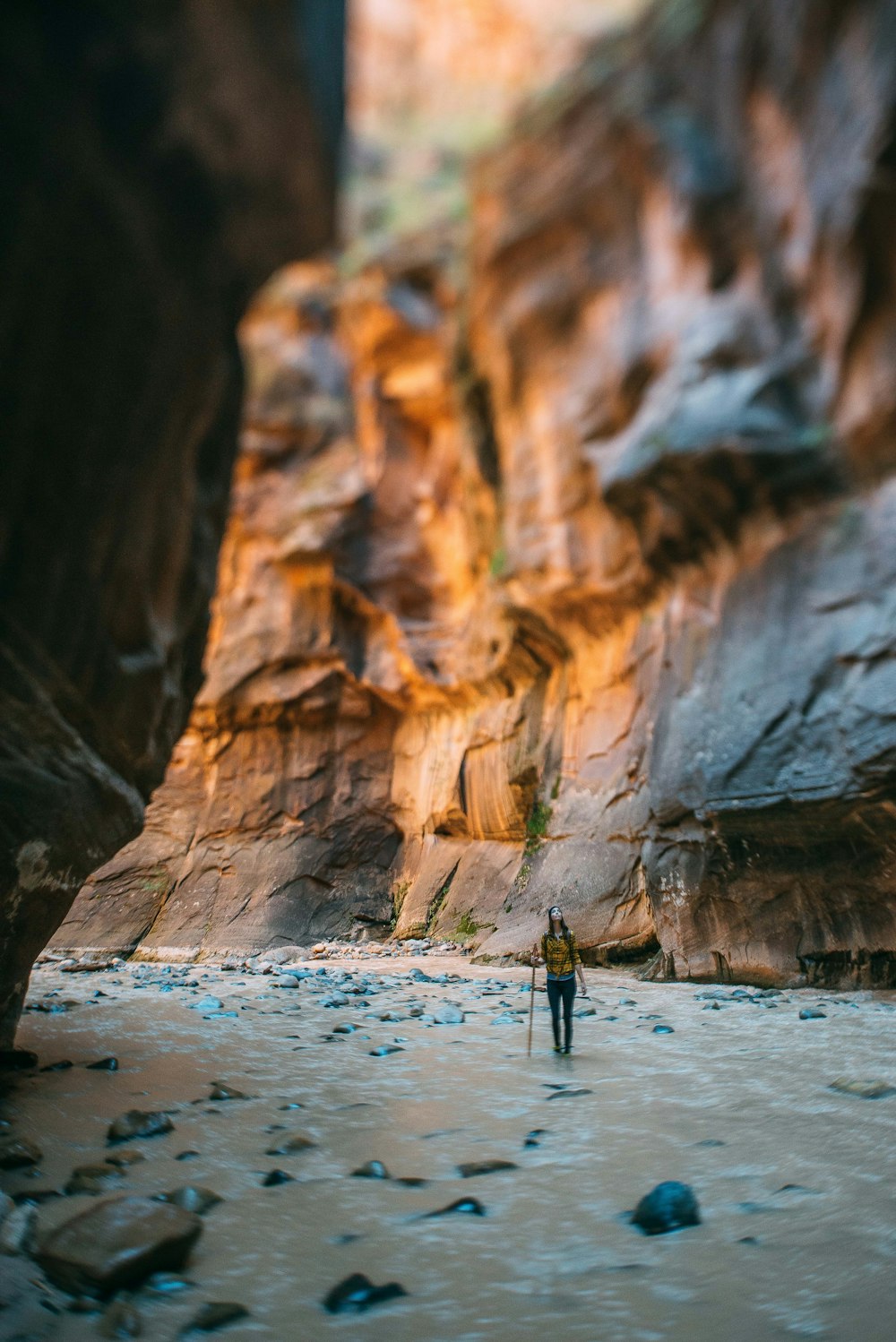 woman holding stick looking upward between cliff during daytime