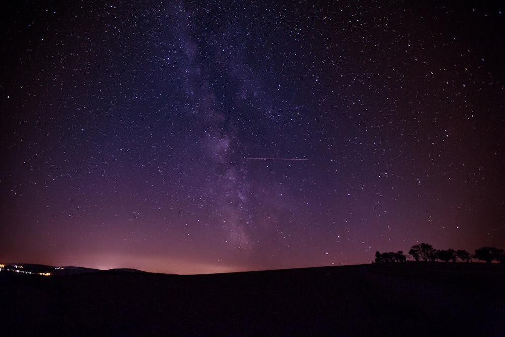 Silueta de árboles por la noche