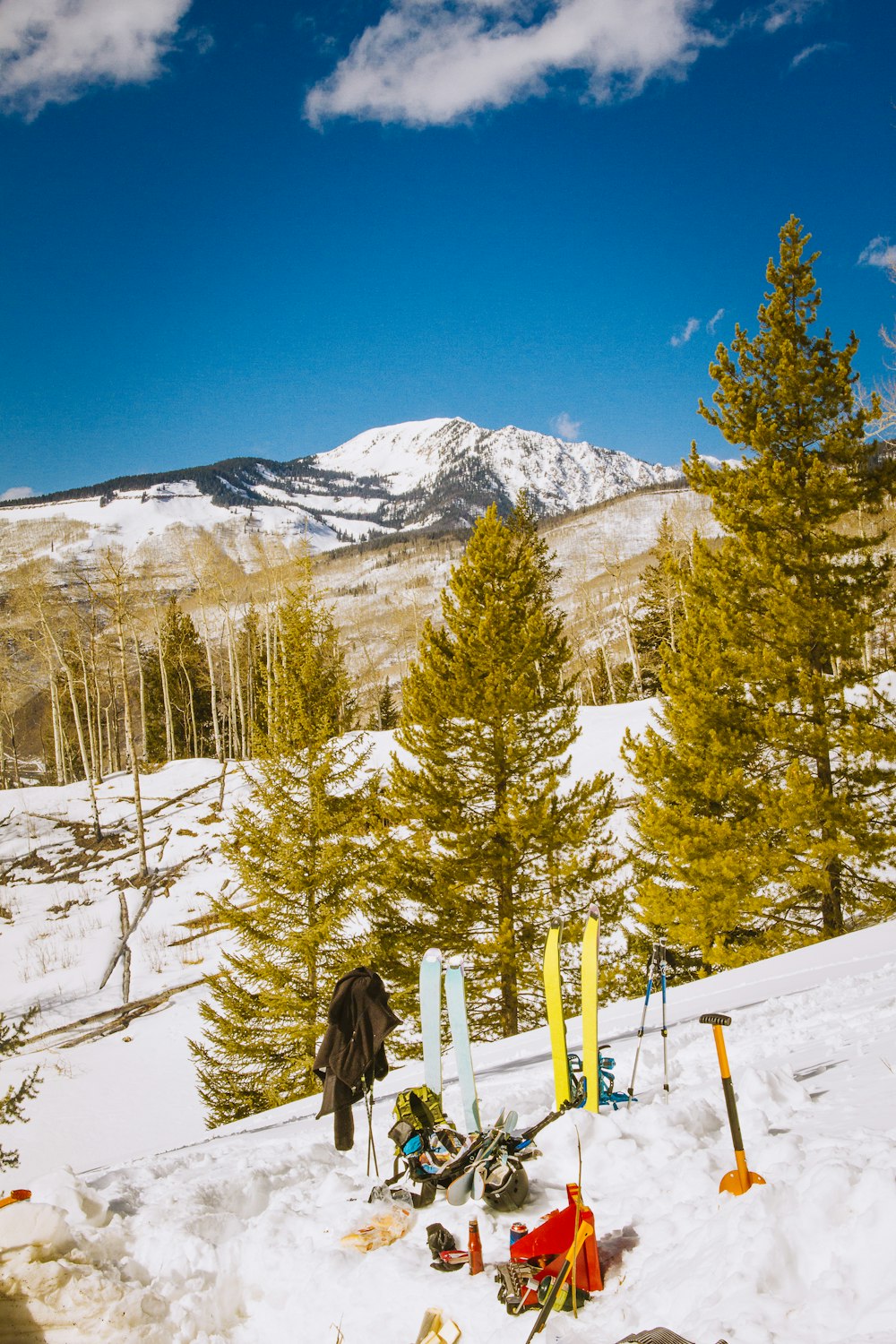 three pine trees near mountain range under clear blue sky during daytime