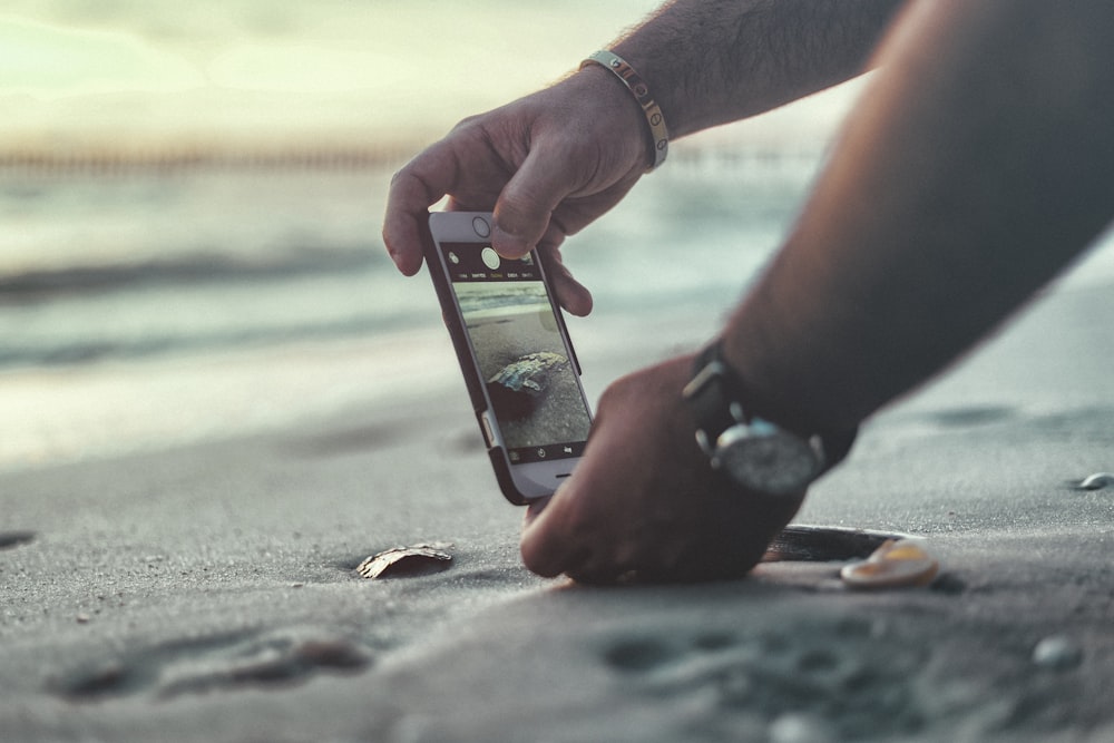 person taking photo of driftwood near seashore