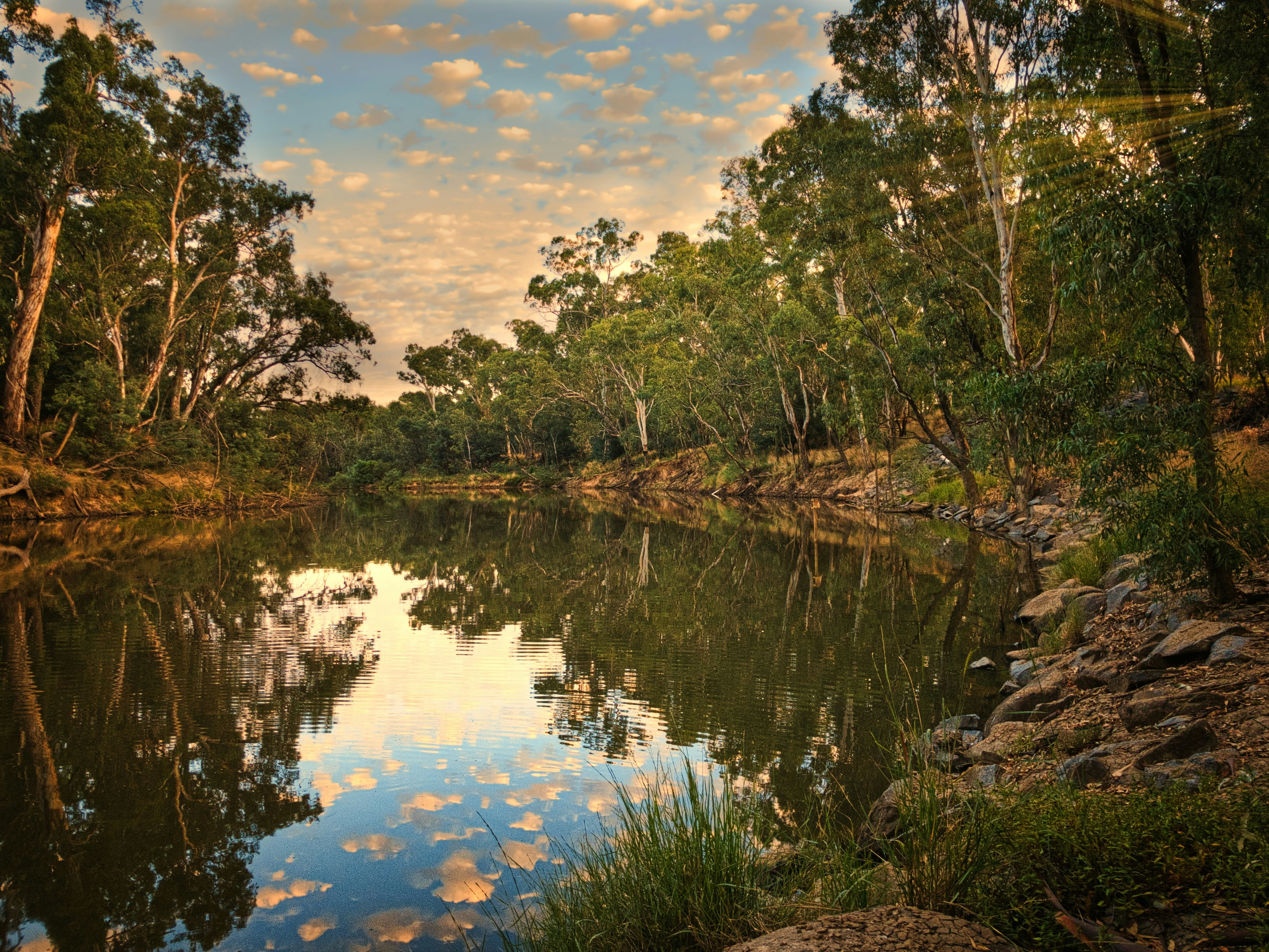 Wide river winding through dense green woodland at golden hour, reflections on calm water, lush riverbank vegetation