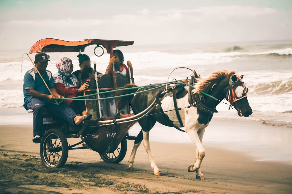 photography of people riding on horse carriage near shoreline