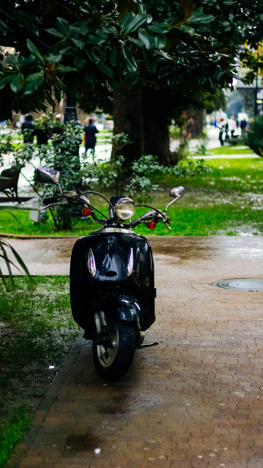 black motor scooter beside tree