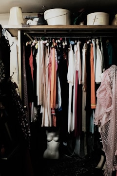 clothes hanged inside wardrobe