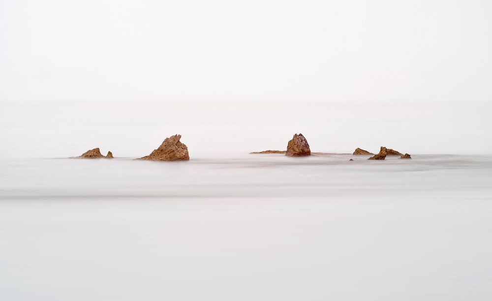 a group of rocks sticking out of the water