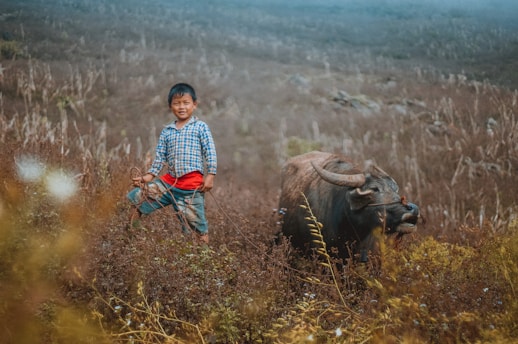 boy standing on brown grass field near black water buffalo