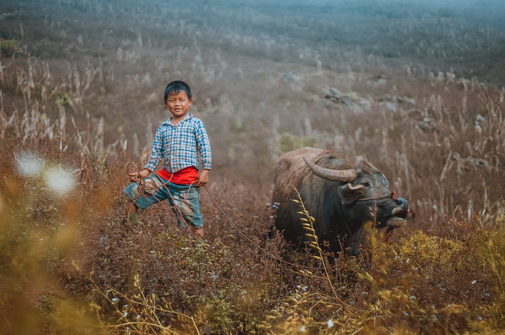 boy standing on brown grass field near black water buffalo