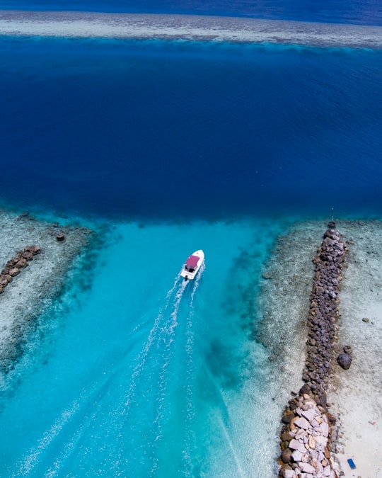 birds eye view of white boat on body of water in Felidhoo Maldives