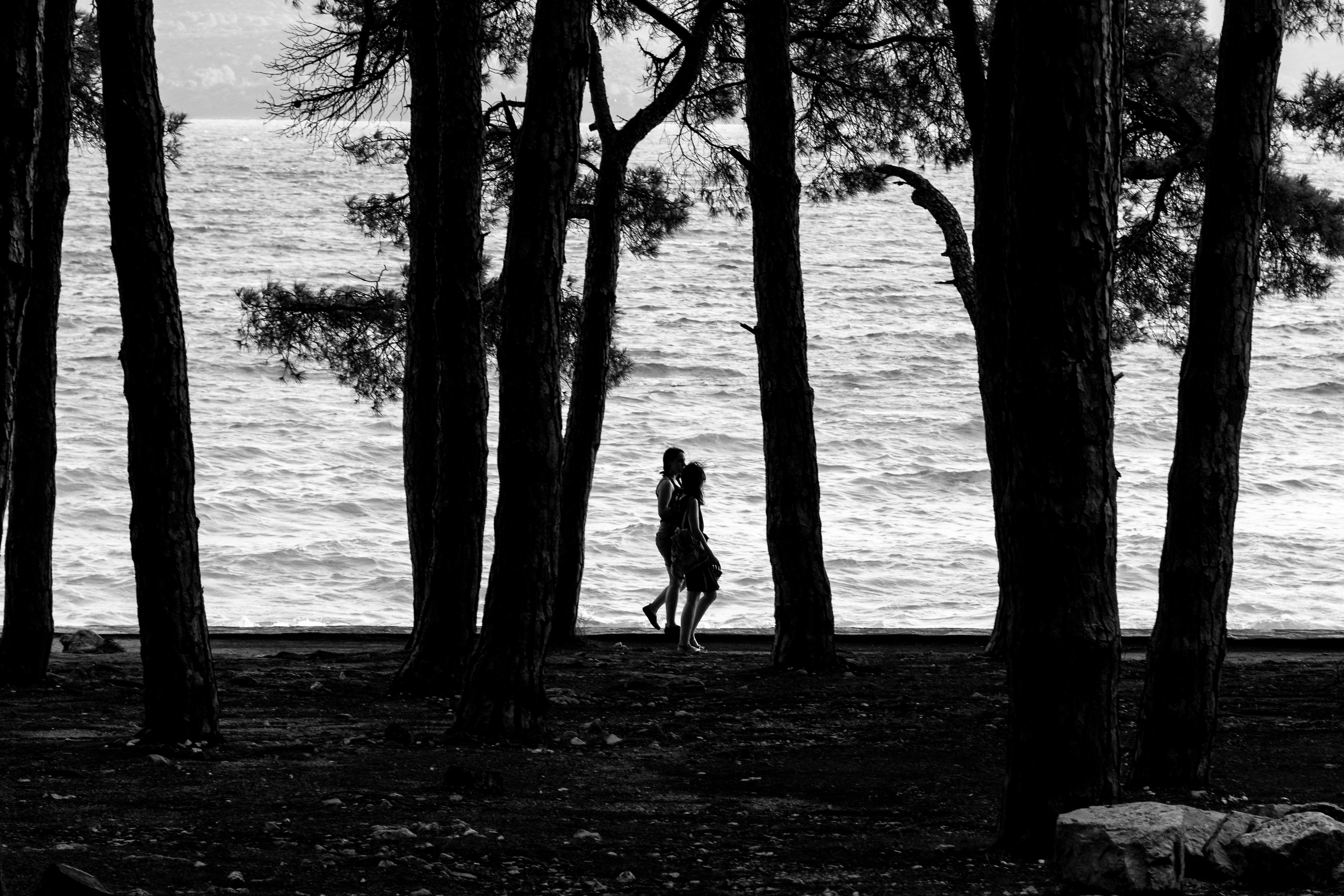 Discover Serene Beaches and Coastal Views