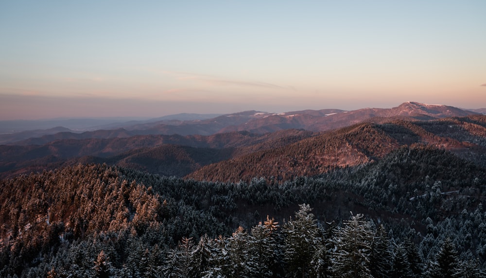 landscape photography of brown mountain at daytime