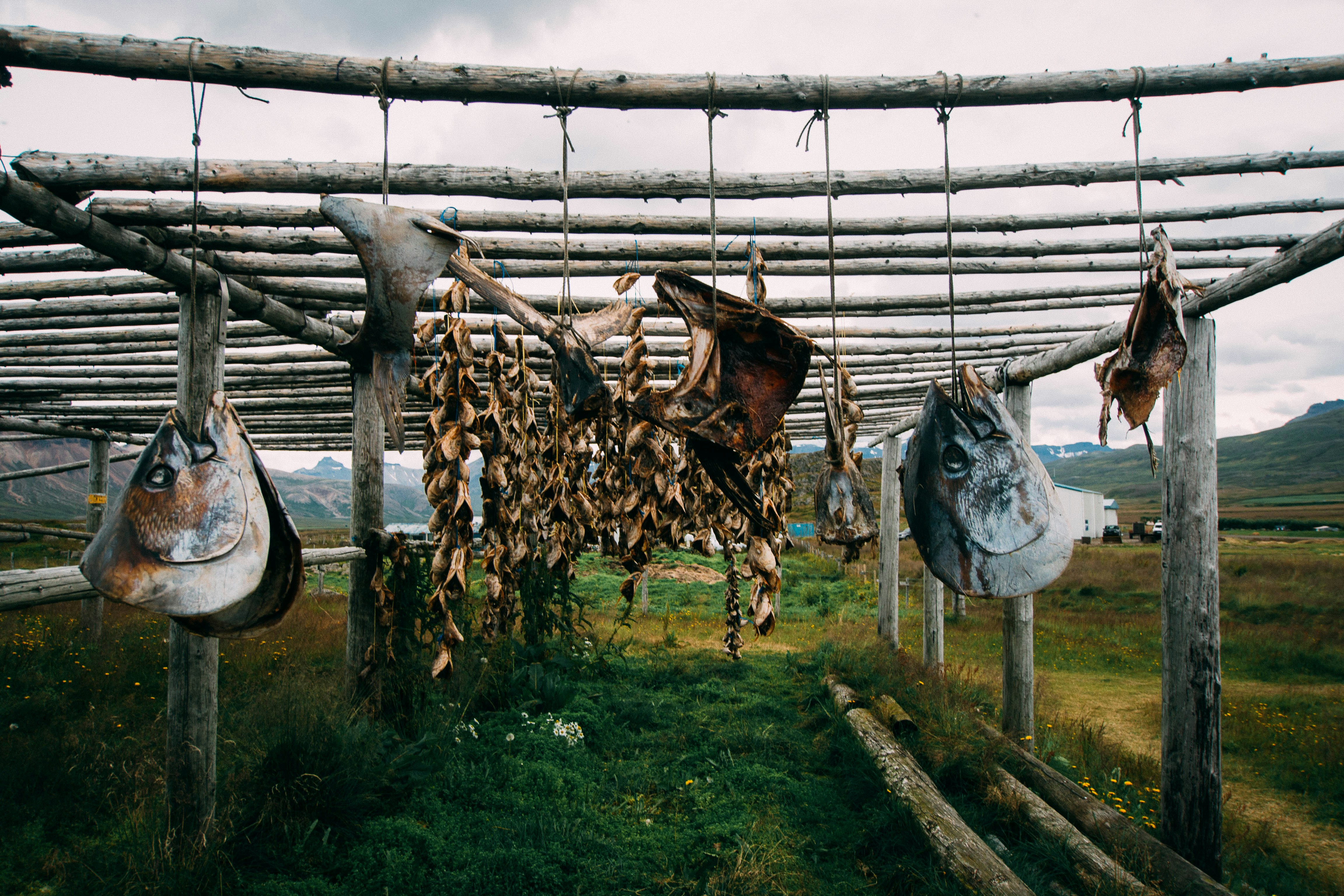 Salt, Time, and Terroir: The British Farmers Curing Their Own Meat and Changing the Map