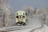 white and green train on railway during daytime