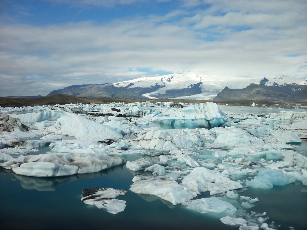 landscape photo of ice burgs