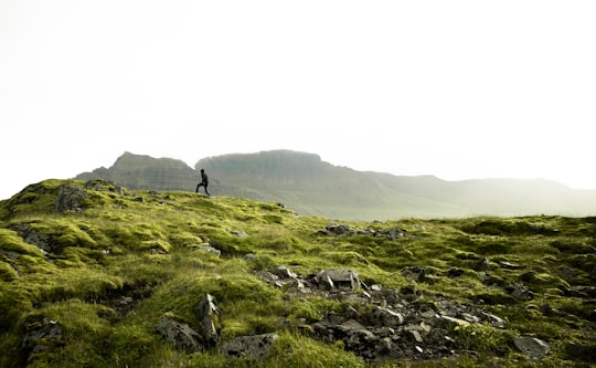 person standing on green grass covered mountain during daytime in Stöðvarfjörður Iceland