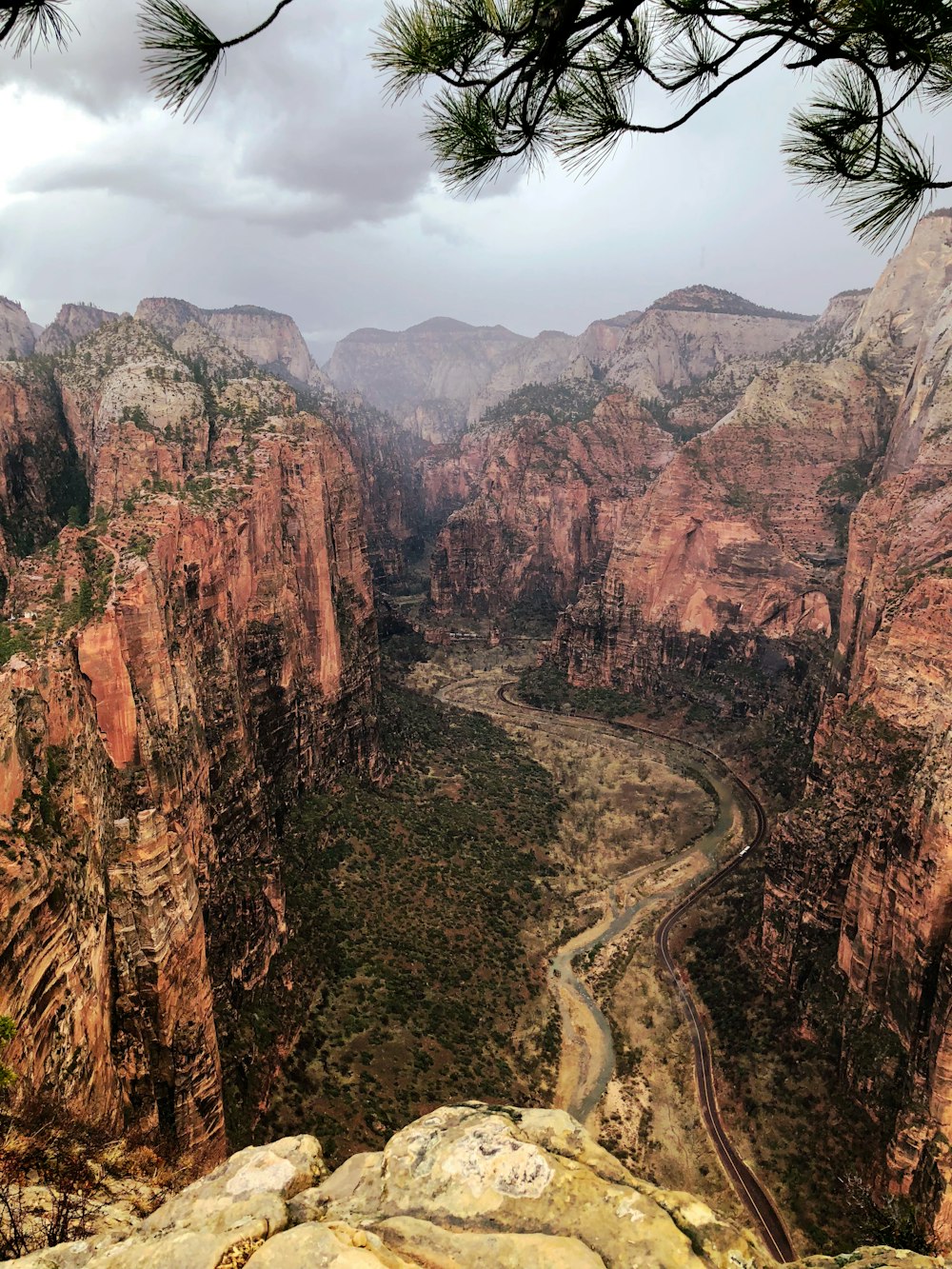 mountains near on forest trees