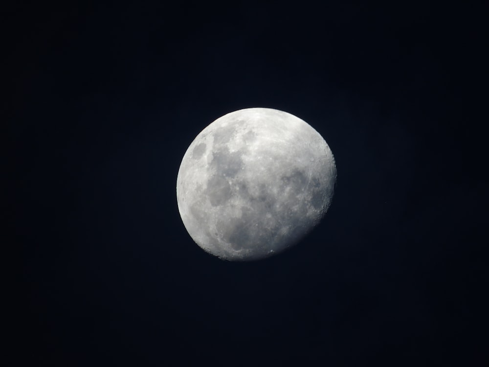 gray moon