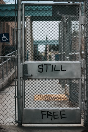 selective focus photography of closed mesh gate with still free paint