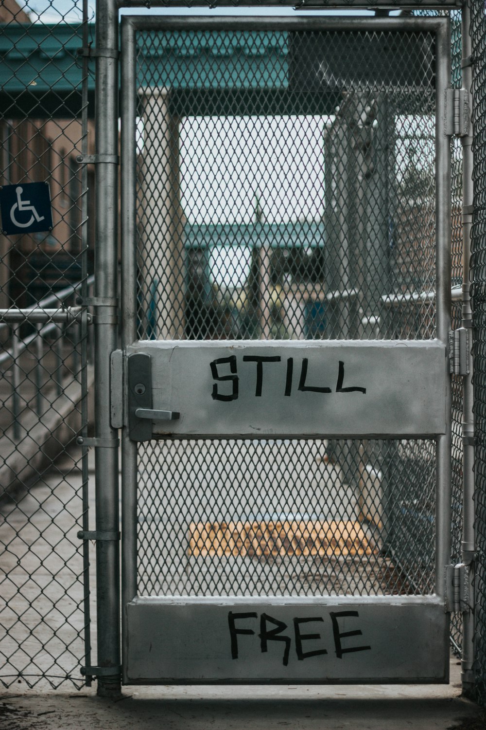 selective focus photography of closed mesh gate with still free paint