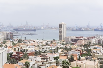 A coastal cityscape featuring a harbor with numerous cranes and large cargo ships in the background. In the foreground, there are various residential buildings and palm trees, with a tall apartment building prominently rising above the rest.