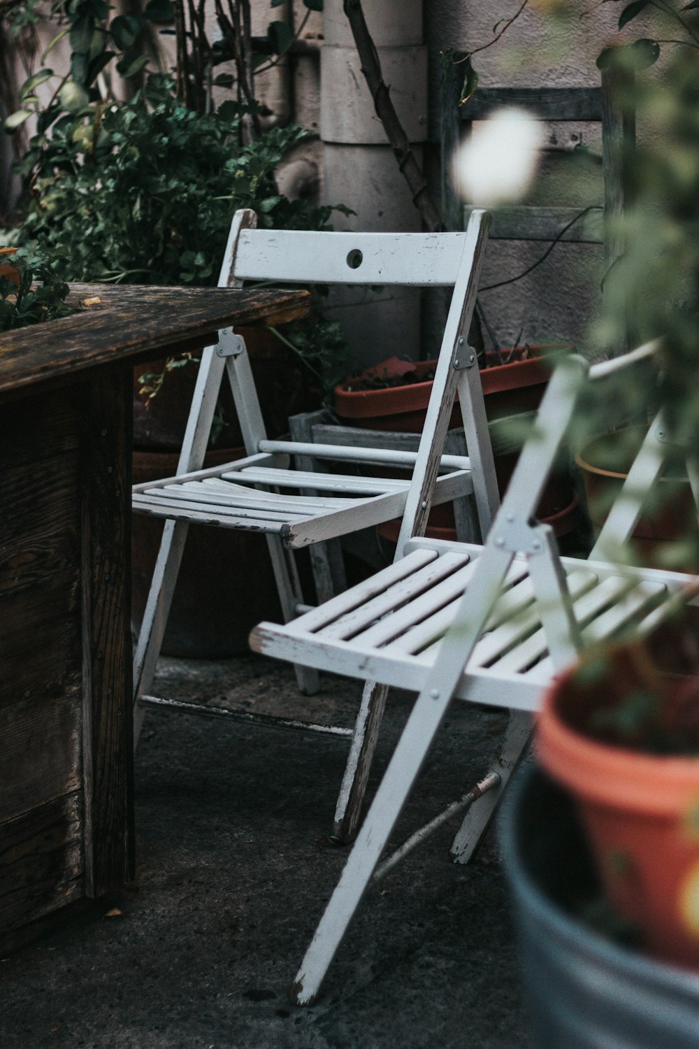 two white wooden folding chairs