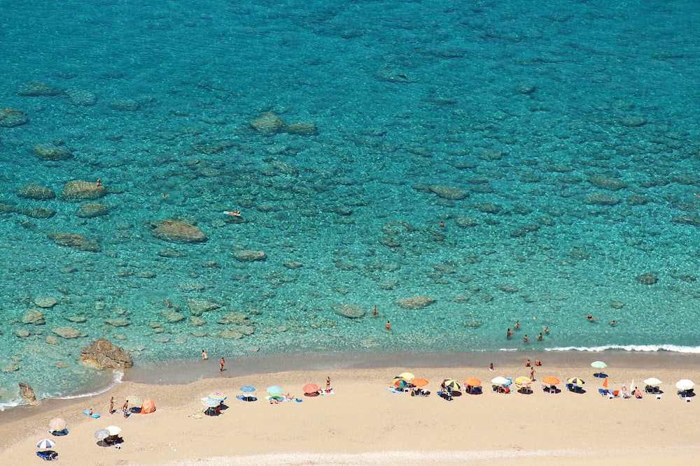 people on beach sand and body of water