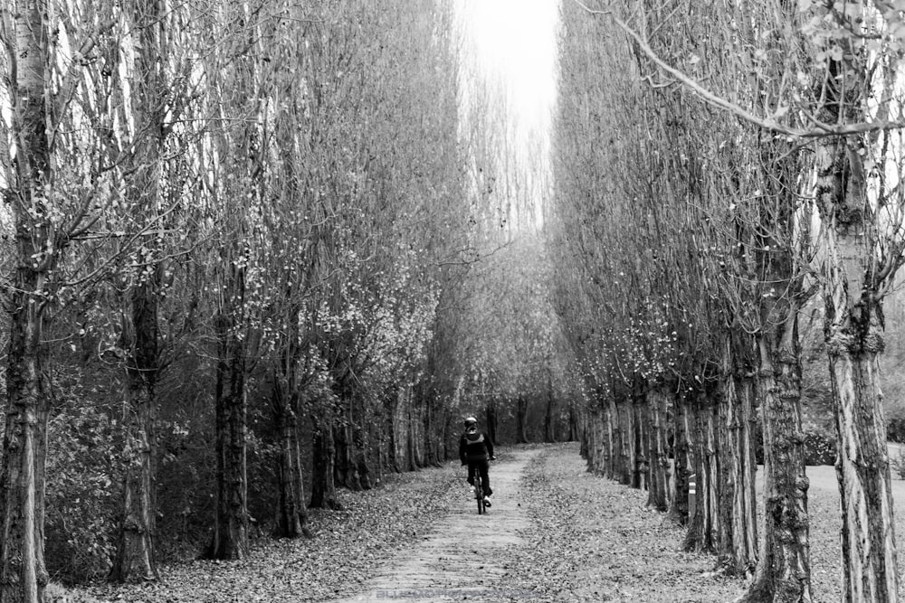 uomo che va in bicicletta accanto agli alberi grigi con la neve