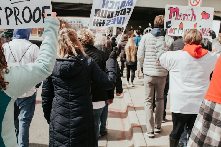 people holding posters and flyers during daytime