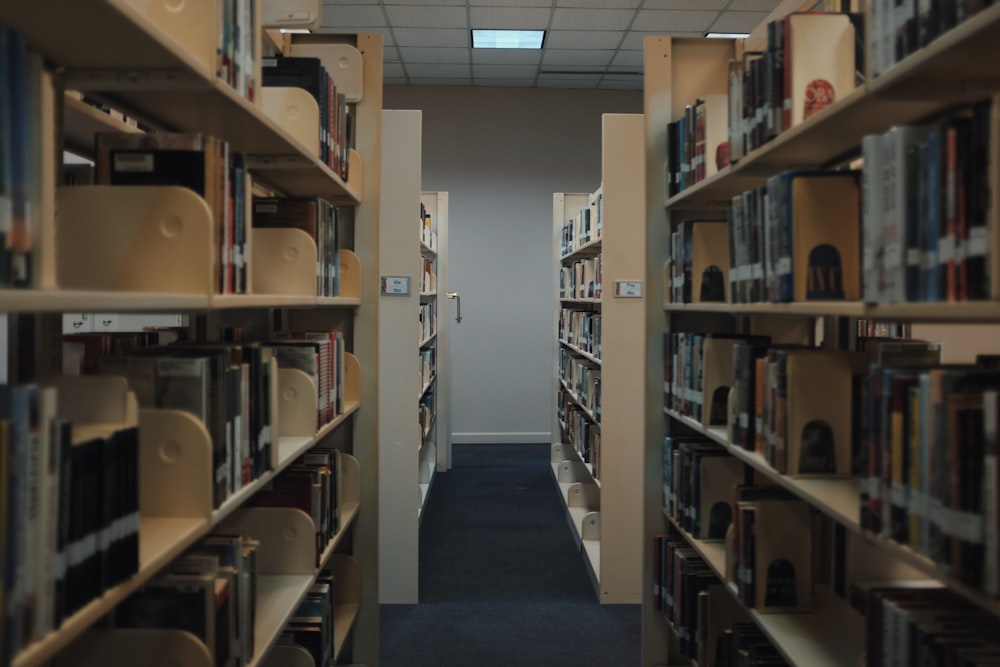 brown wooden book shelves inside library