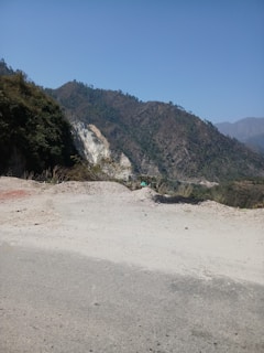 Screenshot of Minecraft Alpha terrain with blocky trees and hills under a bright sky