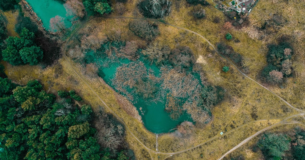 aerial photography of body of water