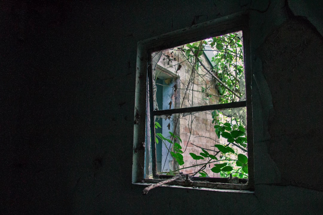 rectangular brown wooden framed window at daytime