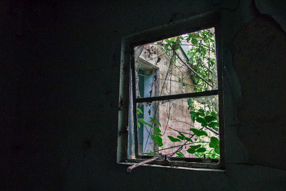 rectangular brown wooden framed window at daytime