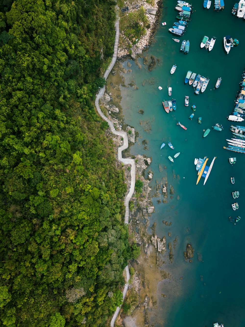 bird's eye view of shore with boats