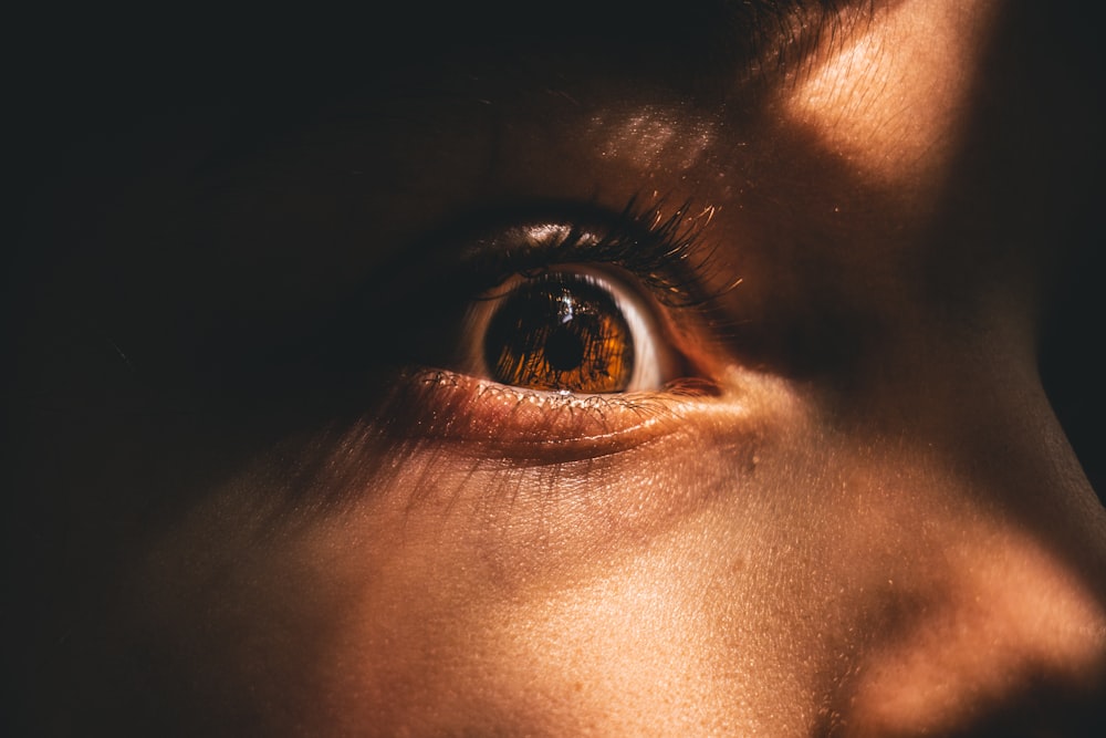 person's brown pupil tilt shift photography