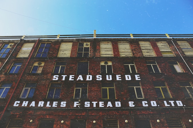 Exploring the Diverse Portfolio of Sue Henry Products and Services